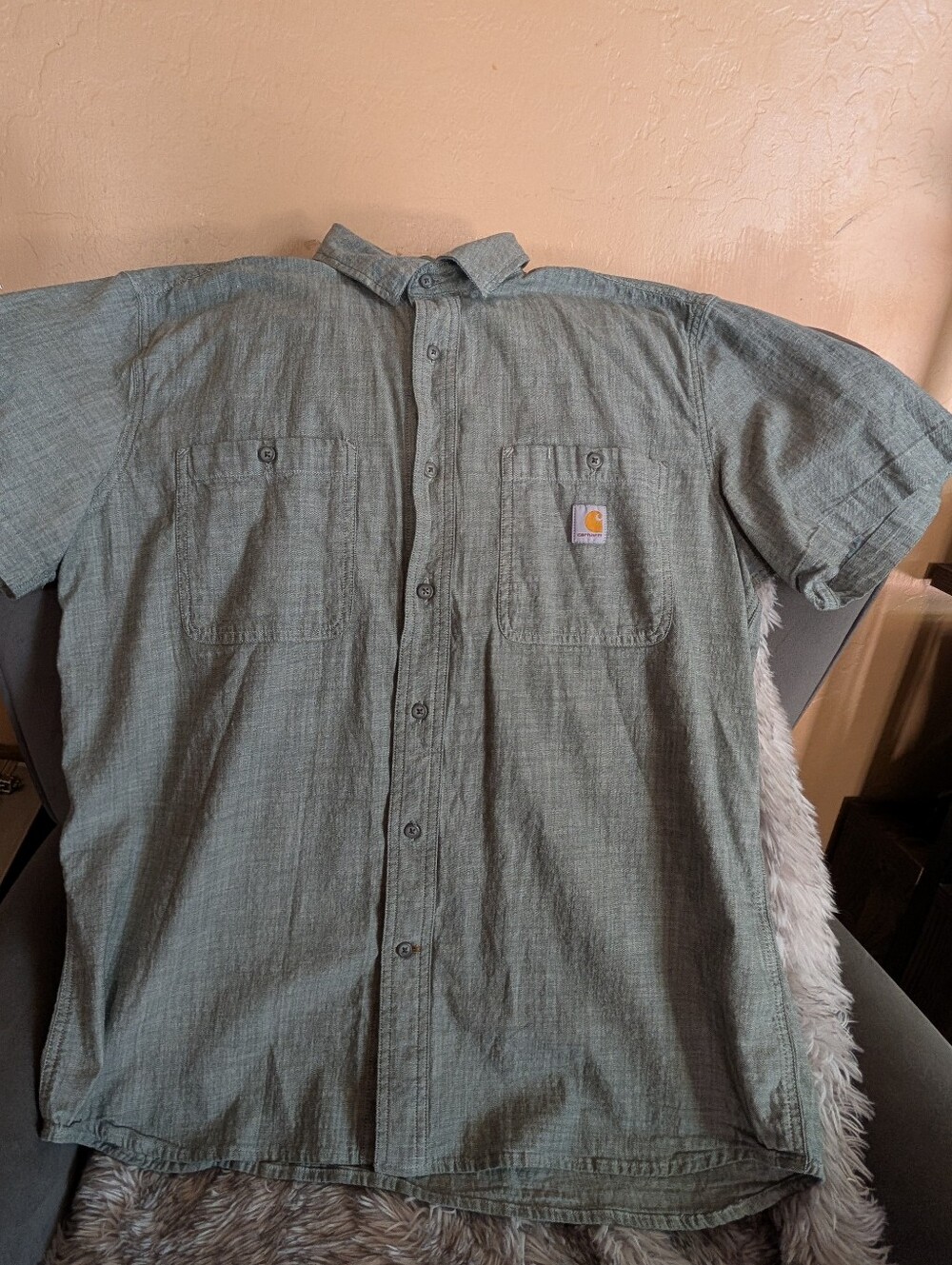 Carhartt Short-Sleeve Button-Down Shirt — Olive Green